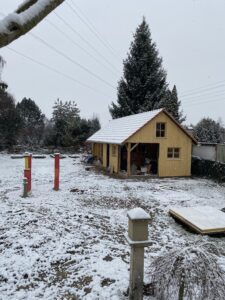 IMG_4599